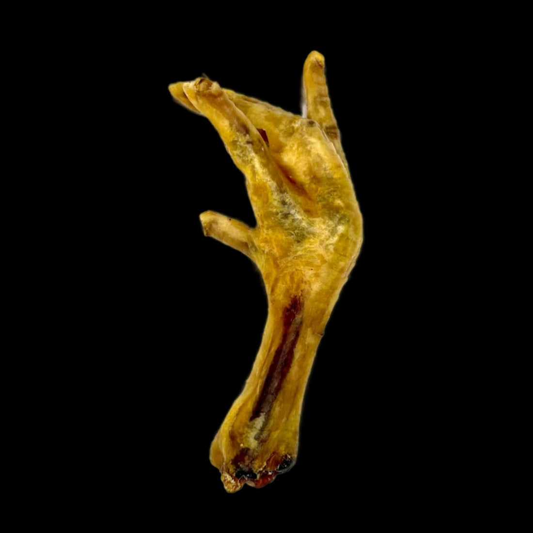 Chicken Feet (100g)